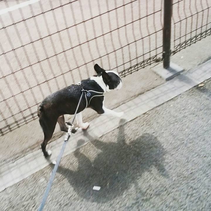 B0bb5b5f e6da 43a6 8e86 b8f40dccc919