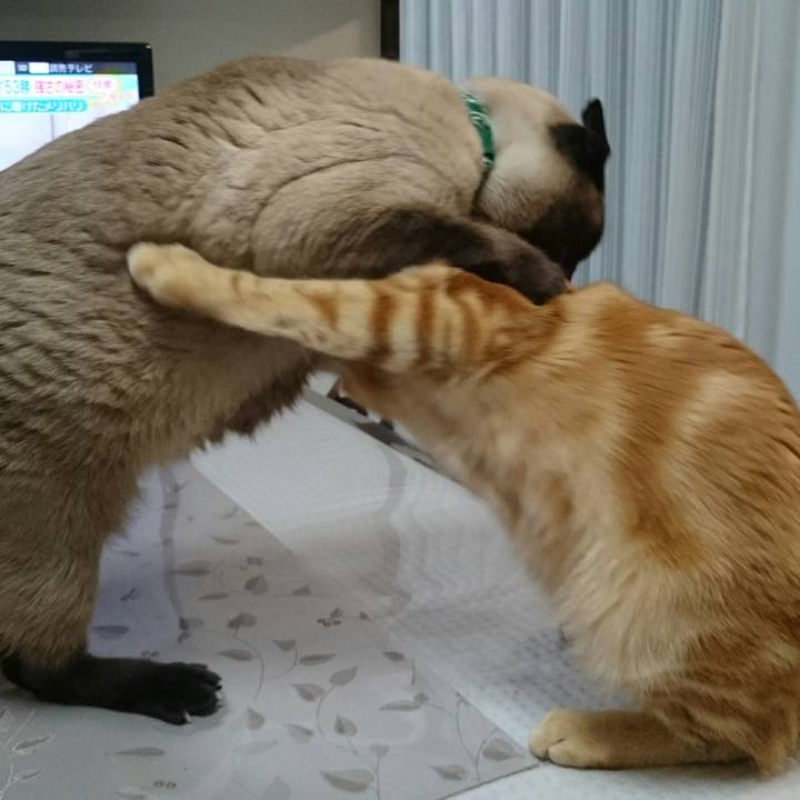 B0bba185 1c58 4141 a02d 18576ff08331