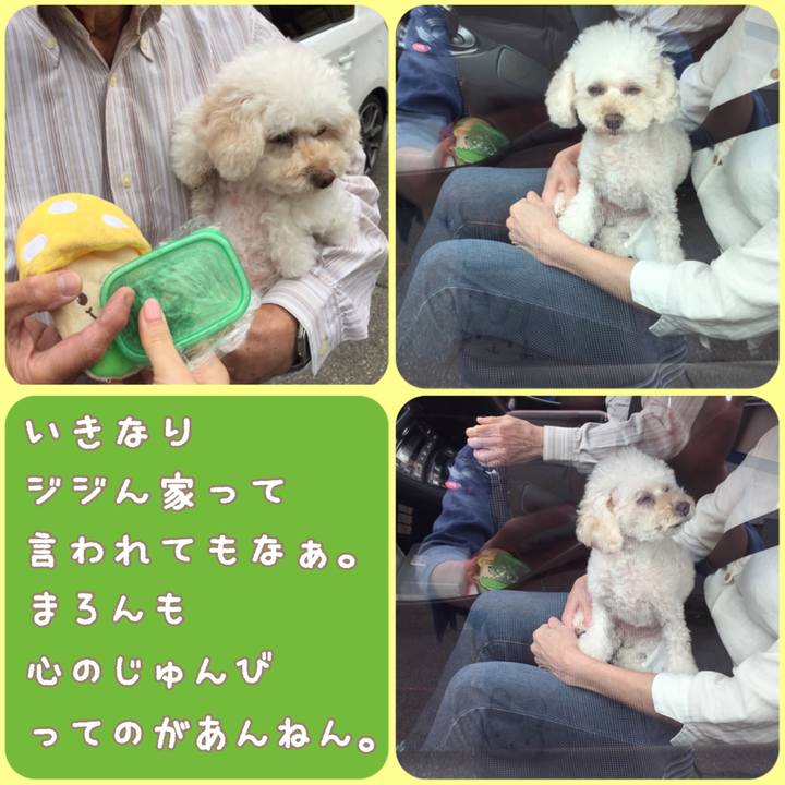 B0bbc591 bb88 42d2 b746 a64fa46a58ed