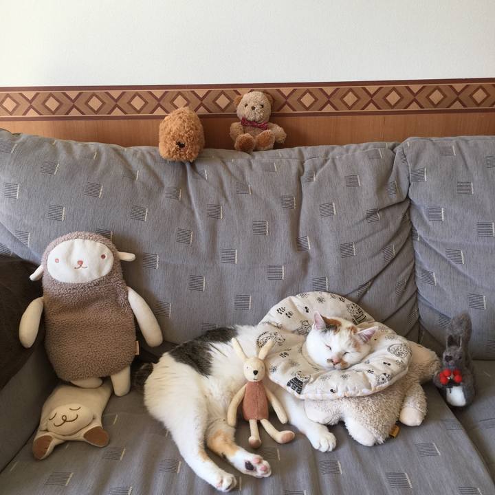 B0bc3f93 01a0 401b 8e66 9b7c4b84916a