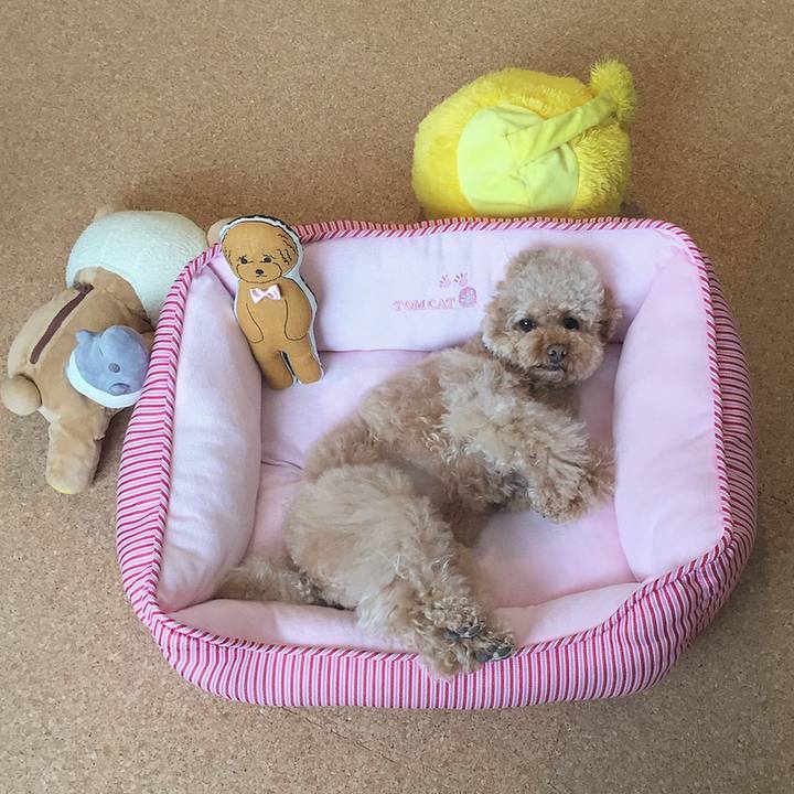 B0bd4e95 ed76 4121 9021 c9be54c39ad7