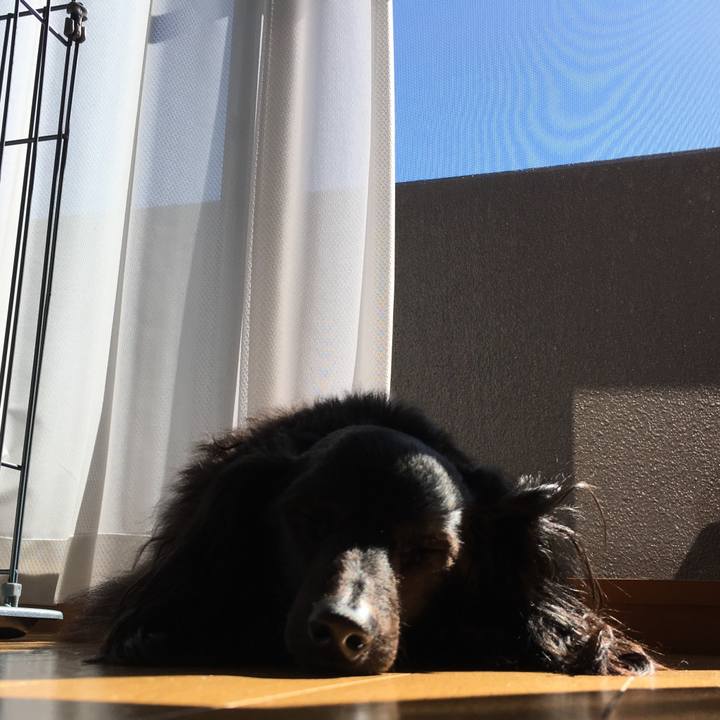 B0bd665c c380 45ed 8e51 b926f2526311