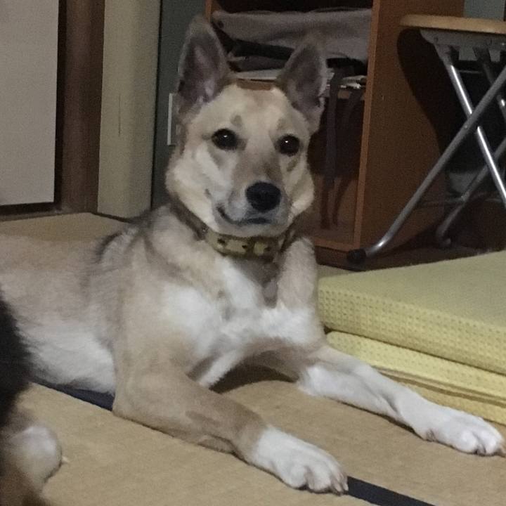 B0bddb36 6b32 43ea 896e e6c2a7477258