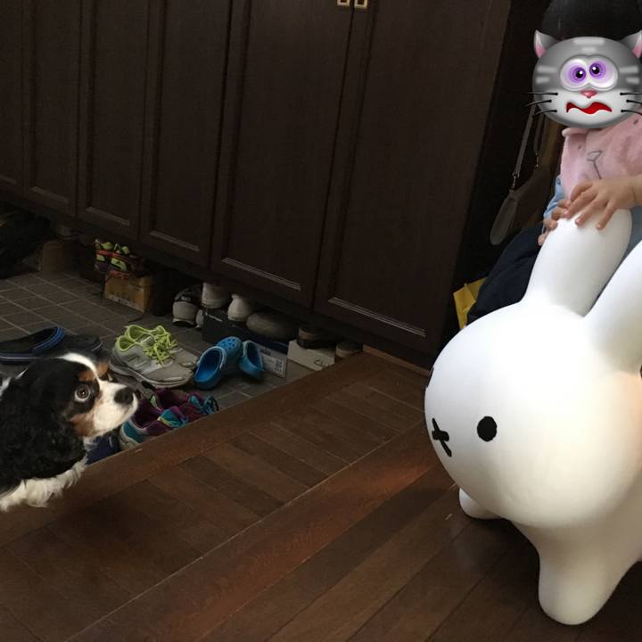 B0bf6351 e778 4590 95a0 ad5fefdc633c