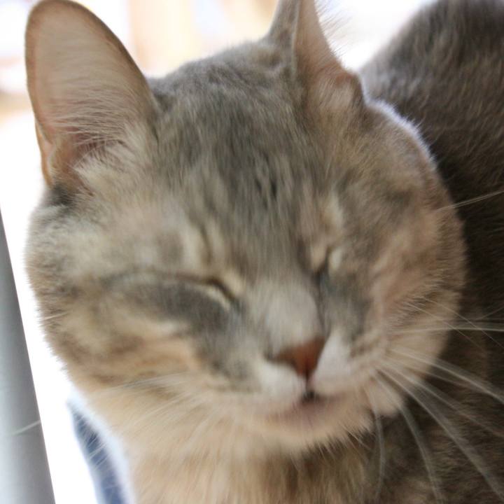 B0c0e2cf 9cef 40d8 964a 1cdb36af17f9