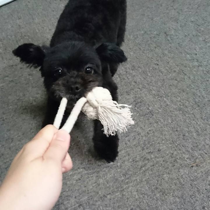 B0c0e5f4 a8f0 475c b29d f5a408d788d9