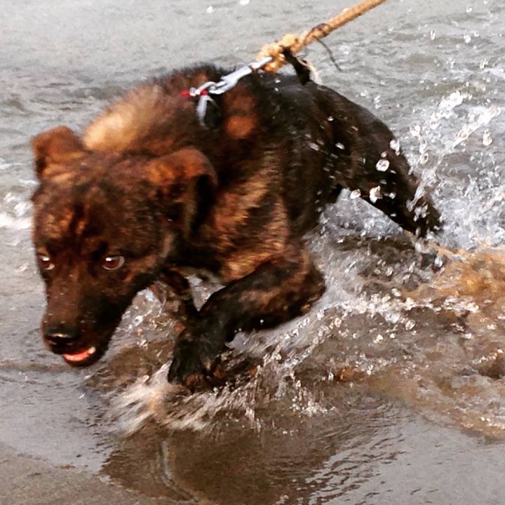 B0c102f1 83dc 4539 ab4c 9a75daf69963