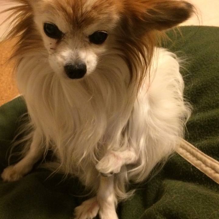 B0c17469 c539 430f b1c3 b637e82a4212