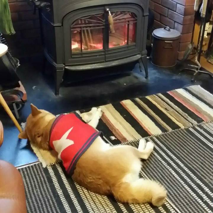 B0c309cb 72ef 4669 8fd2 ba0da246a8a5