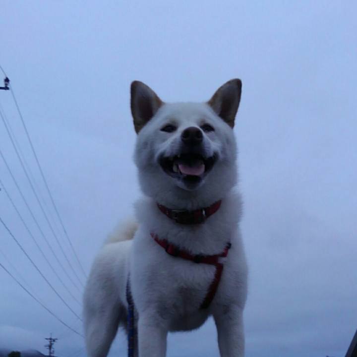 B0c32fb6 50b4 4bad 8792 a7da82826b1e