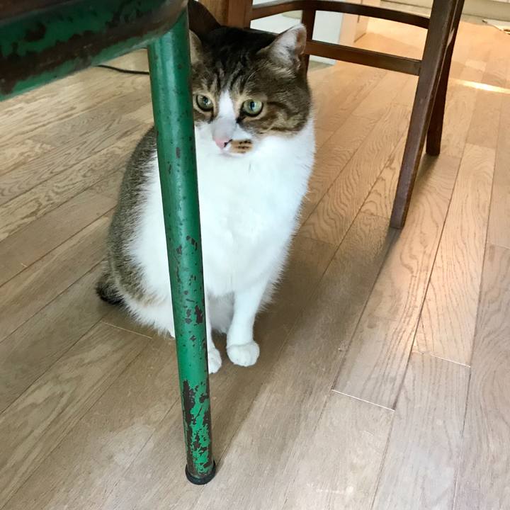 B0c339e7 e991 4429 ade8 65c692a7eb28