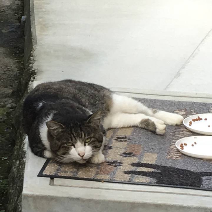 B0c49743 49fa 43dc 9097 d5b853b4ba5f