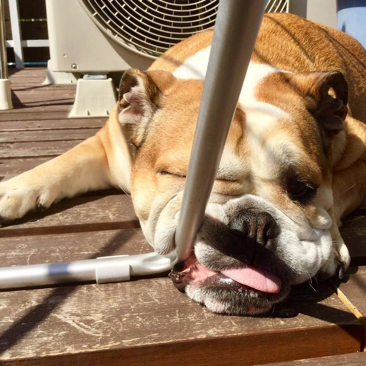 B0c4a930 1d35 486c aa22 2f8aa1123ea7