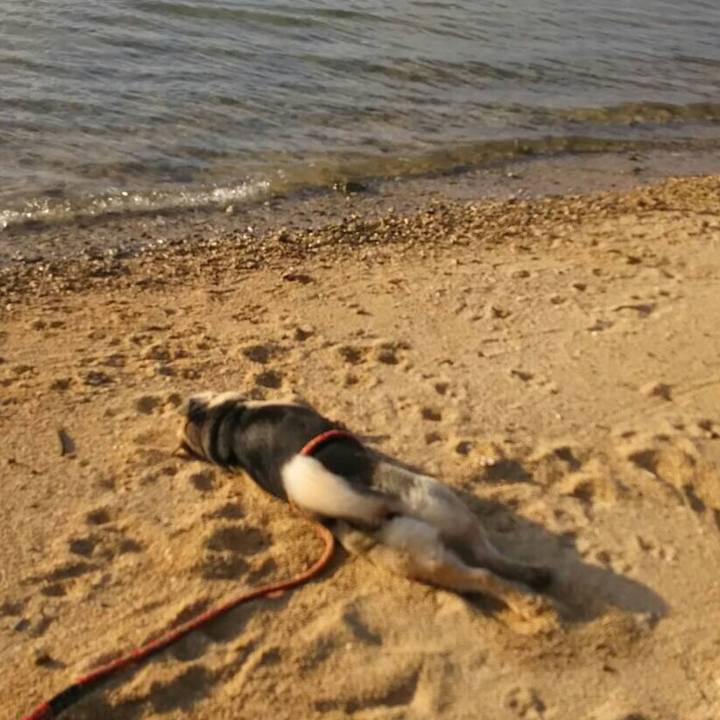 B0c4ac59 937e 4083 8993 c1219a01d925