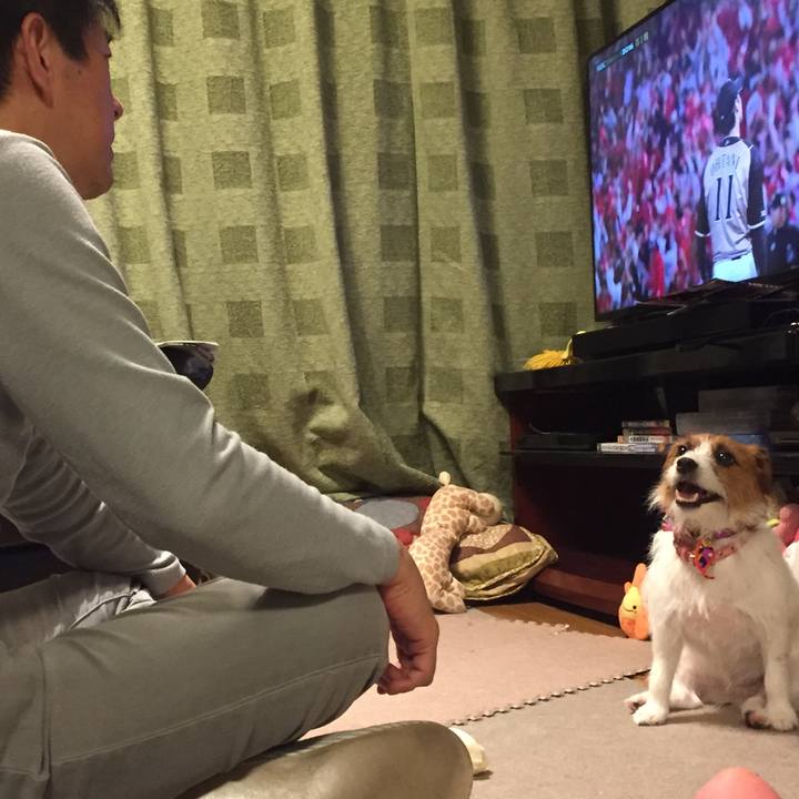 B0c4c865 bcc3 4227 bae8 eceb59657c03