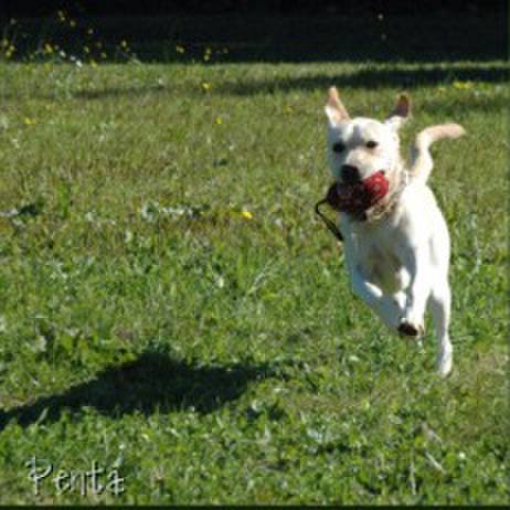 B0c50900 3de2 42b7 81f0 a171ac851fd0