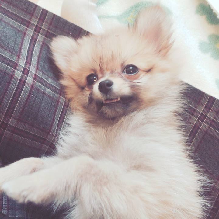 B0c595a1 af5f 42c5 85dc b1400866b459