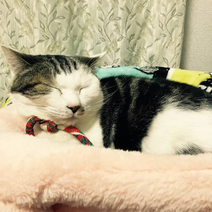 B0c5d1f5 e66c 42e9 b521 c8676878d233