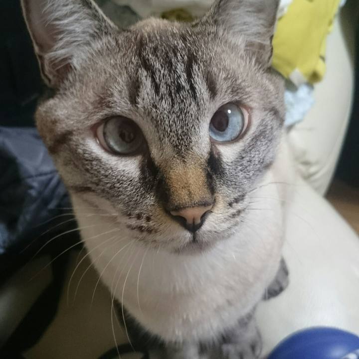 B0c62a9e 0baa 47d0 918b c2d372fd2b2a