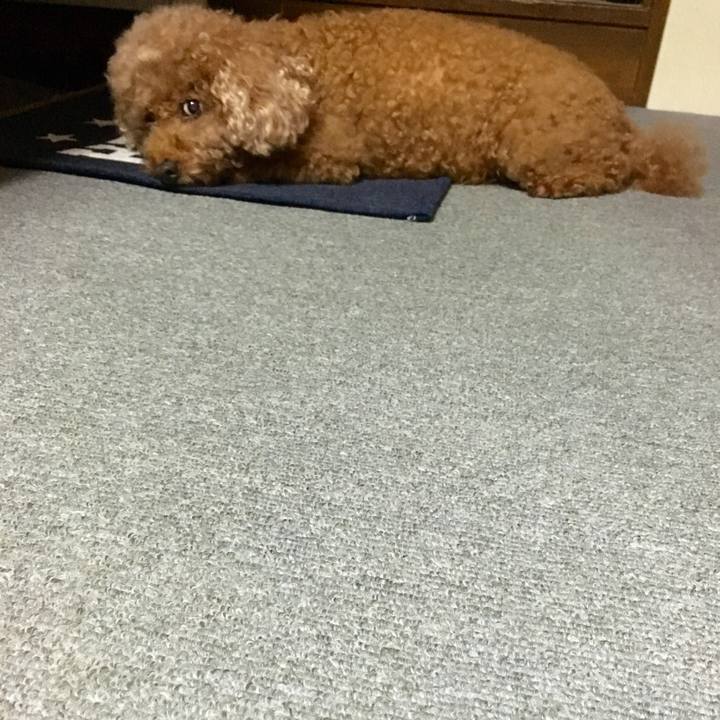 B0c65245 901e 4cce bf0d ab8ba2d62c77