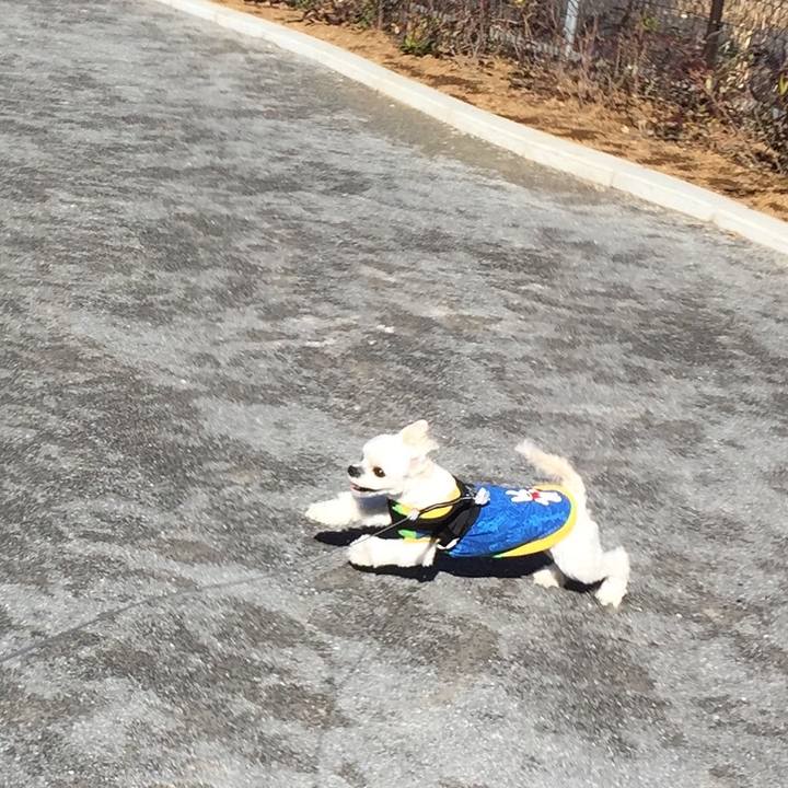 B0c698b4 ba89 4e04 9014 d62e37e3a7e1