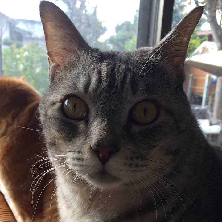 B0c77a92 e659 4cd4 8cea 0d149442ffdb