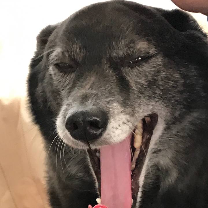 B0c78f04 e7e5 4d45 97fd d7cc1f8c66e6