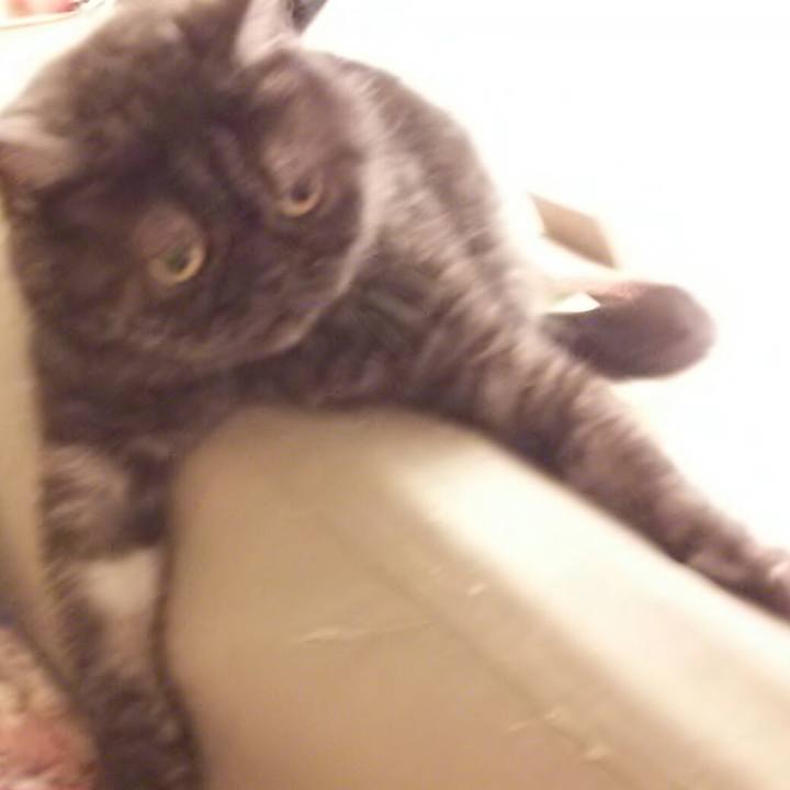 B0c7b265 f35d 49b6 9f2c 7f2eaea58f37