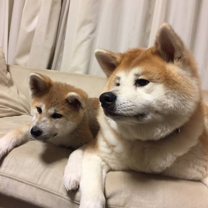 B0c8e299 17b0 424a b324 41982e13f8a0