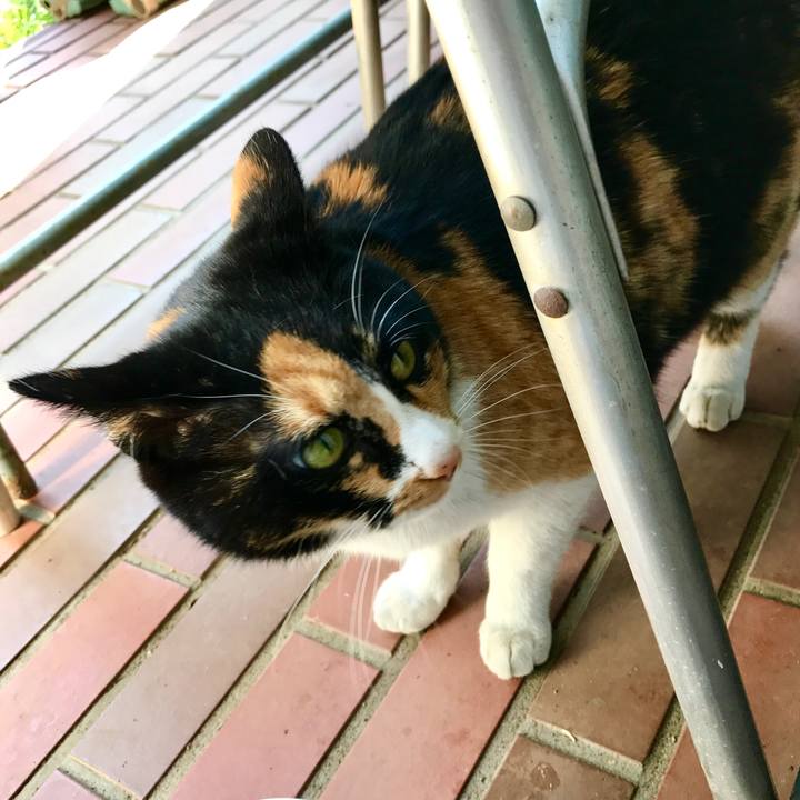 B0c9ead7 a225 4817 8d45 abc781125e7d