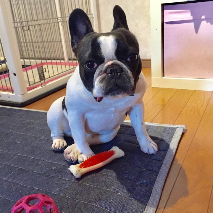 B0ca0afa 0430 4553 85cb 2f0e7f94f3a6