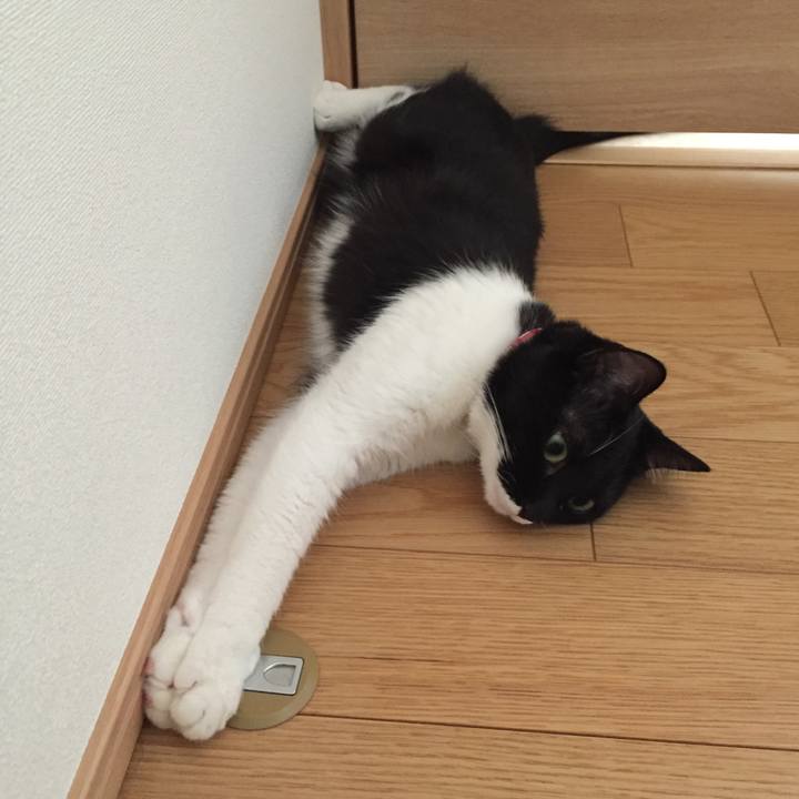 B0ca40b1 c18f 4068 8086 1296098c0a2b