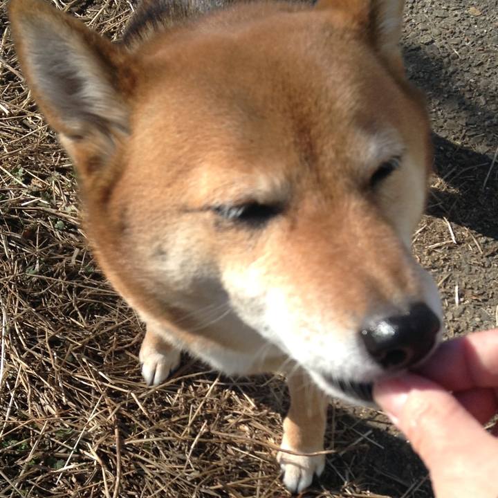 B0ca9f33 4b95 4349 b187 8e25a7546a85