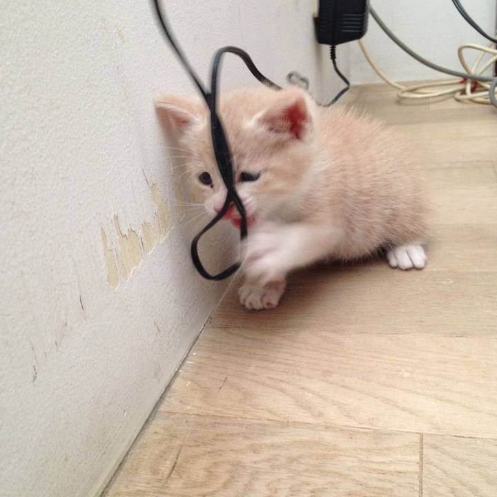 B0cac38d 2fe5 4217 bb34 b434e35d2c6e