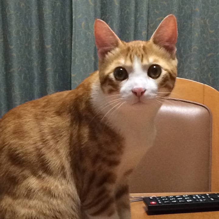 B0cafee3 49cc 4e37 a776 c487906c154a