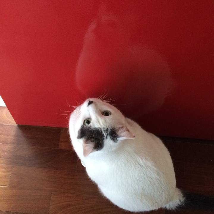 B0cb09b5 5909 488d 8bbe d6058ce139a4