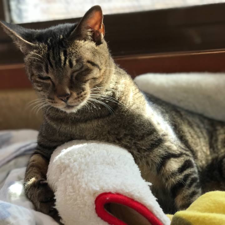 B0cb70c0 b824 496c a2d2 8d5727a7749f