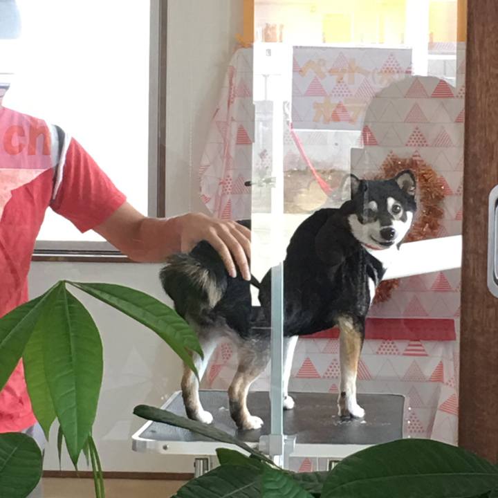 B0cc2db8 c842 4ef2 bed1 069fea9808d1