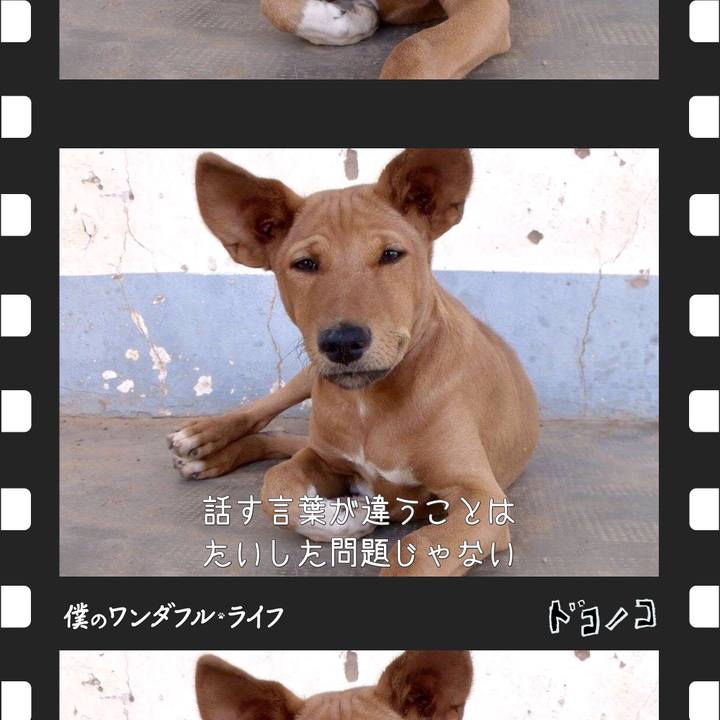 B0cdb6a2 0f69 41c9 9e7d 25f1793518a2