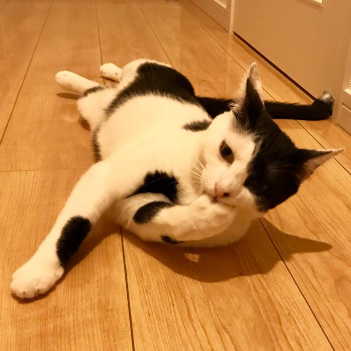 B0cf12fc 384a 4bd2 aa85 ae8e2d45eedc