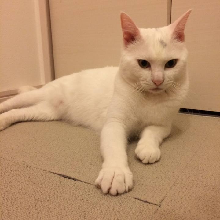 B0cf2e32 a708 4d85 a88e d3168dc9b656