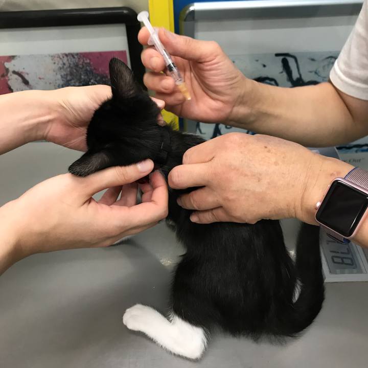 B0cf4e27 78c5 4c53 a093 bfbd49bc4972