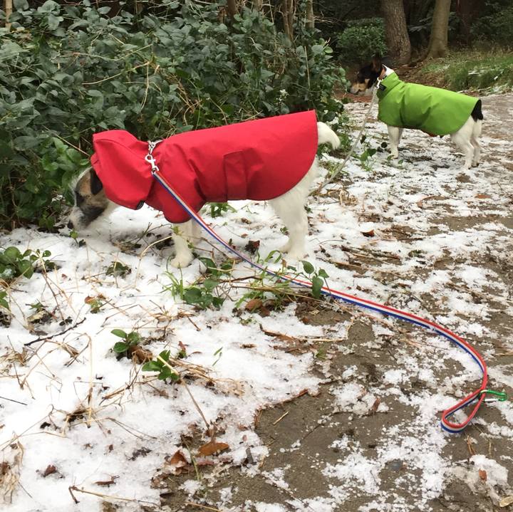 B0cfa866 109d 4c84 b2f3 1eb1a7ef7945