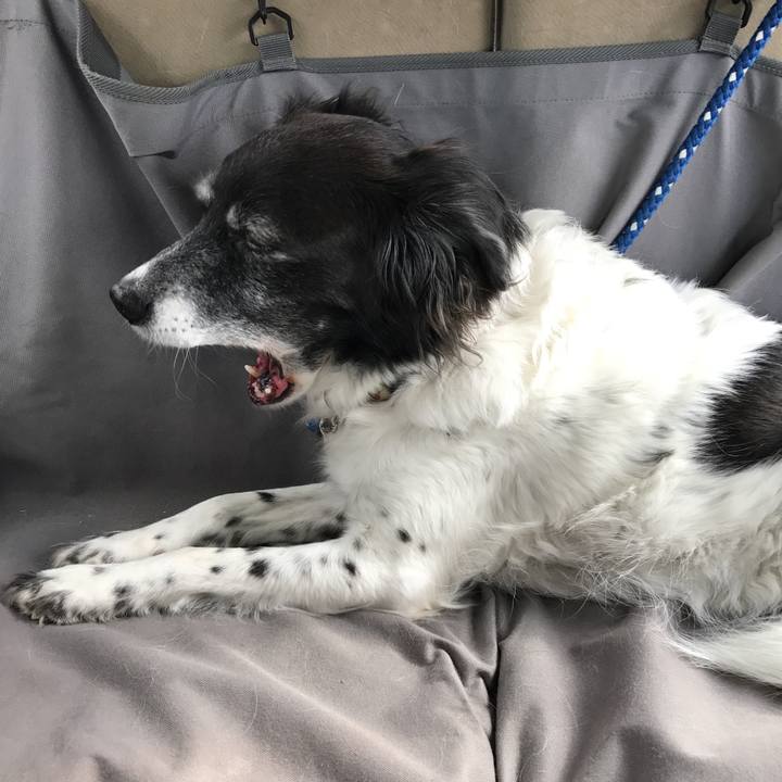 B0cff892 57ed 4c89 bd28 e644d154c556