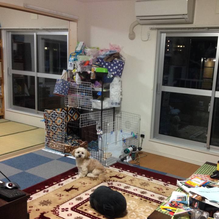 B0d028b7 1cbb 4541 9bc6 c5fa4d009793