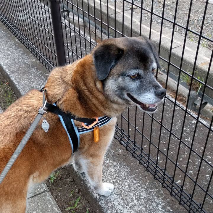 B0d0d3fa 9905 4e9b 80b6 9cb6a5731347