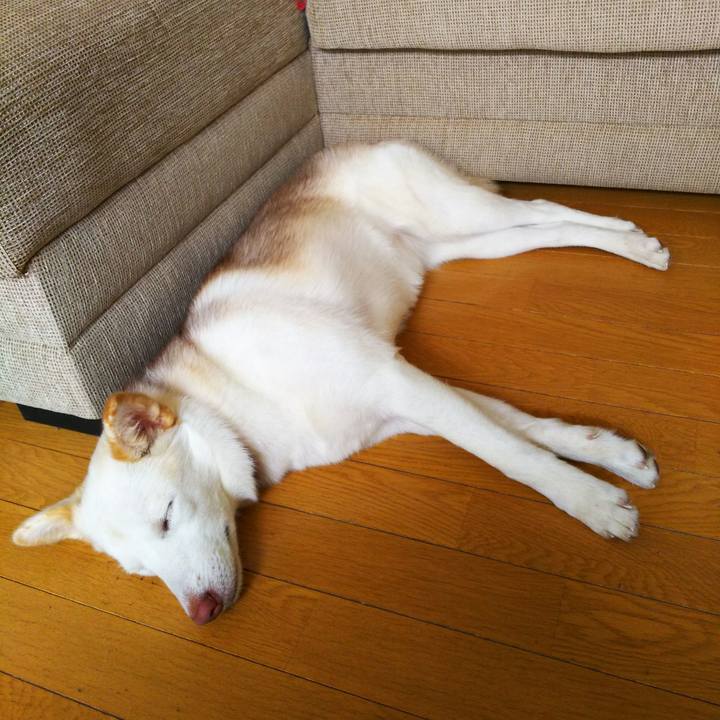 B0d14c61 c11e 46ca a9f6 03914565be0a