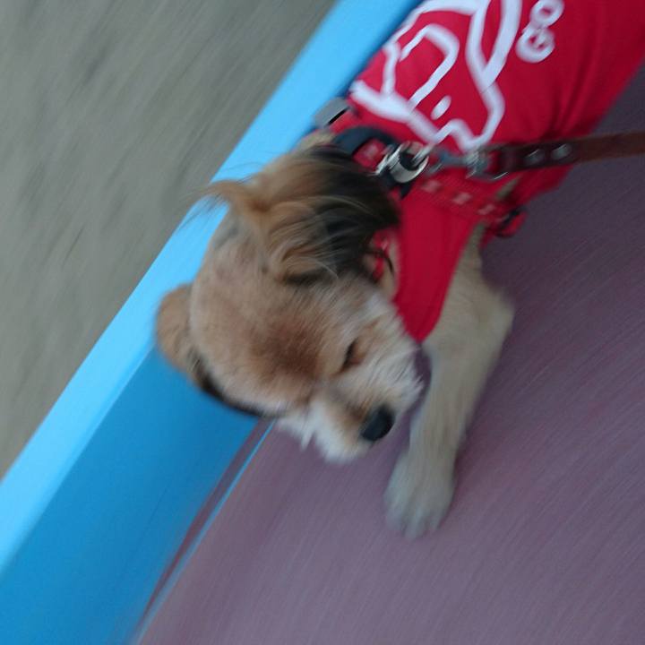 B0d15957 d930 44b2 88b2 2506870fb23c