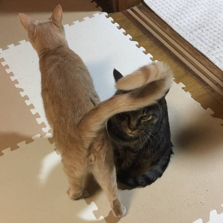 B0d26e6c f350 4066 97e5 23e638eab0ff