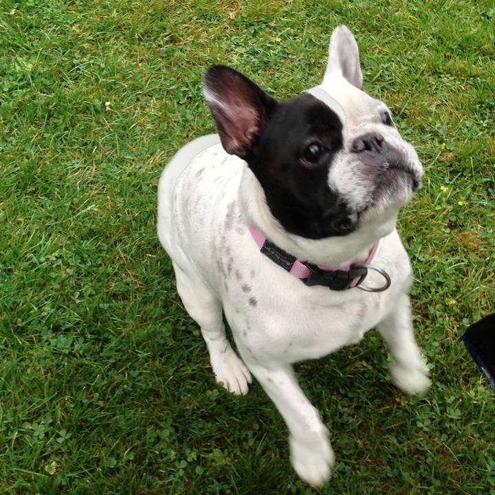 B0d281d3 1eb9 4a23 94fc 56cc16a27d43